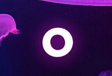 Safemoon braden karony policy changes securities