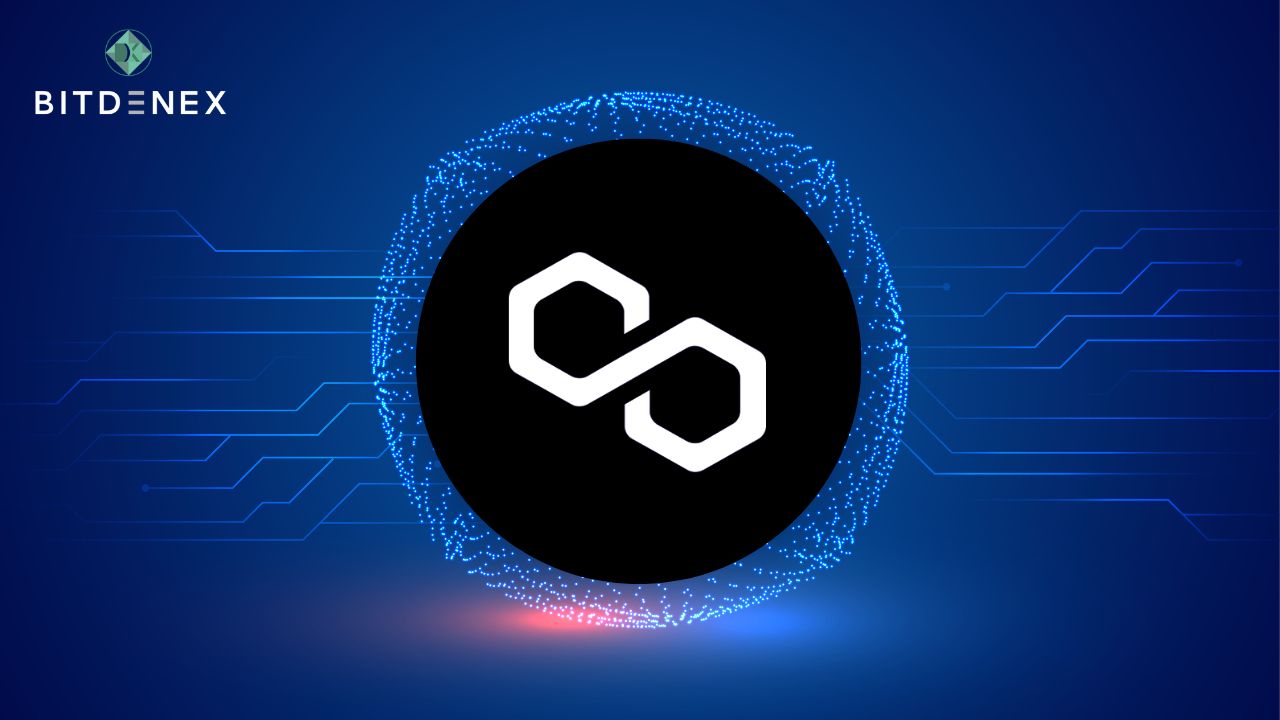 Zk identity holonym acquire gitcoin passport 10 million