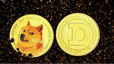 Blockchain us treasury musk doge transparency