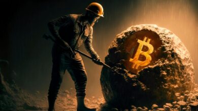 Solo miner snags bitcoin block reward worth 300 k