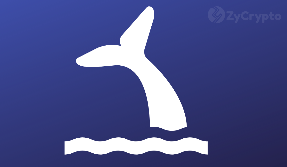 New bitcoin whales stop sub 90k btc price crash