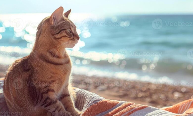 Catizen partners with google cloud to develop ai virtual pets reshaping the global pet industry ecosystem