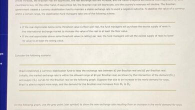 Stablecoin adoption brazil central bank