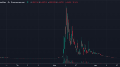 Pump fun co founder most altcoins serve same purpose memes