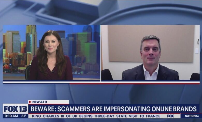 Scammer impersonates bermuda premier promotes fake token