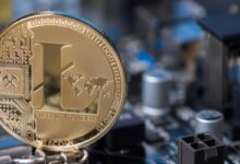 Bitcoin trades in tight range as xrp lt om and gt aim higher