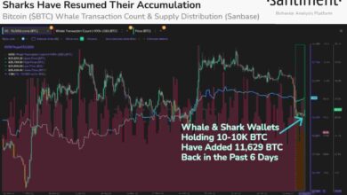 New bitcoin whales stop sub 90k btc price crash