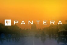 Pantera capital founder tax probe milei fraud charges law decoded