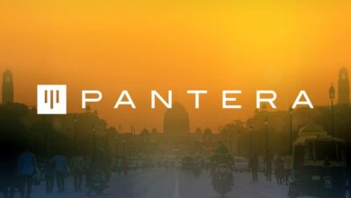 Pantera capital founder tax probe milei fraud charges law decoded