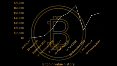 Hive digital revenue bitcoin hodl position surges