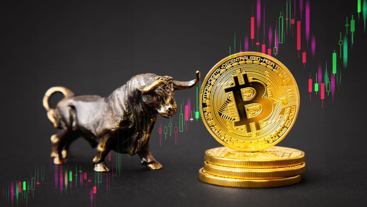 New bitcoin rewards coin btcbull raises 500k in first 24 hours of presale