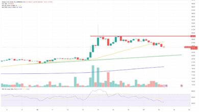 Solana sol price softens as onchain volumes drop 28 in a week