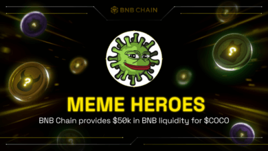 Bnb chain memecoin fourmeme hacked 183k