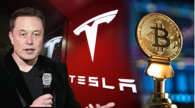 Tesla q4 bitcoin profit btc collateral opportunity execs