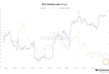 Bitcoin booming permanent holder demand btc price 116k