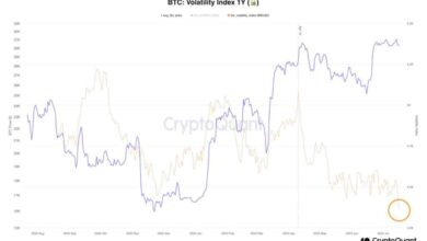 Bitcoin booming permanent holder demand btc price 116k