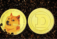 Blockchain us treasury musk doge transparency