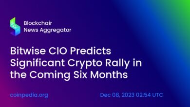 Bitwise cio retail professionals crypto industry sentiment