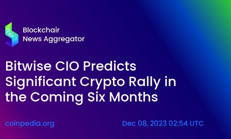 Bitwise cio retail professionals crypto industry sentiment