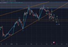 Bitcoin slumps as tech giant palantir pltr rallies to new highs what gives