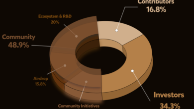 Berachain 632 million bera airdrop mainnet launch