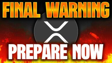 Ripple xrp ledger online hour network halt