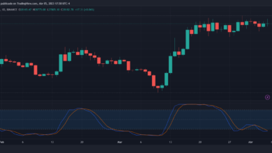 Is the bitcoin bottom in btc derivatives point to limited price downside