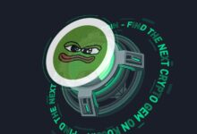 Bobo meme token the rising star set to shake up the crypto market