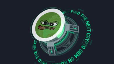 Bobo meme token the rising star set to shake up the crypto market