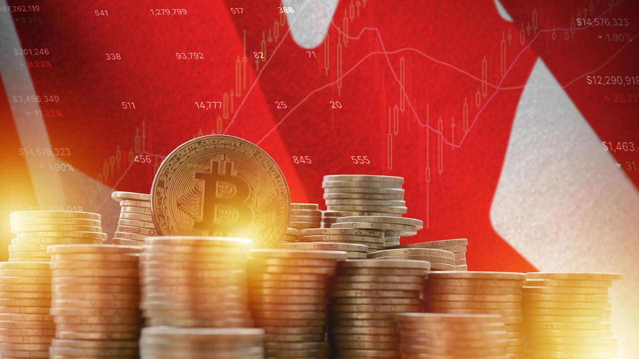 Crypto markets rebound trump canada mexico tarriffs on hold