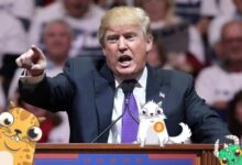 Crypto market crash trump tariffs tradfi