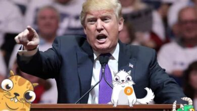 Crypto market crash trump tariffs tradfi