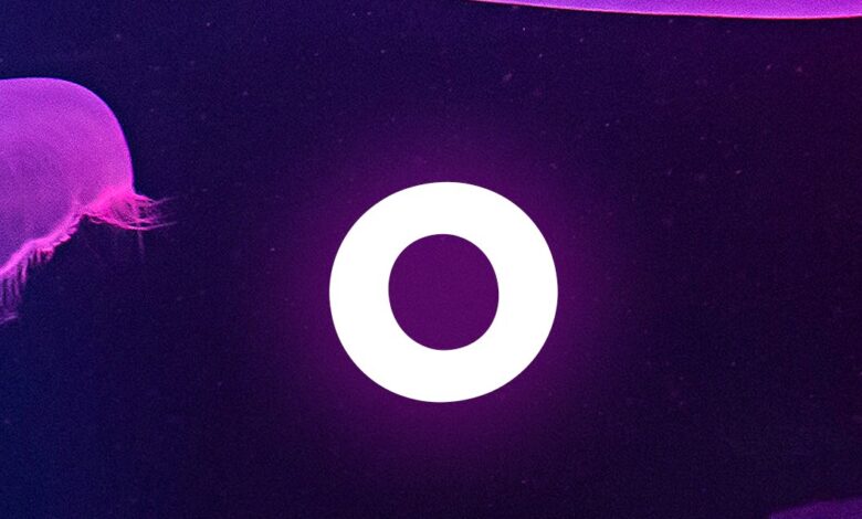 Safemoon braden karony policy changes securities