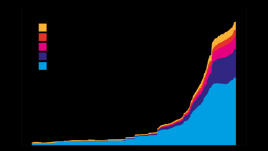 3 reasons why stablecoin growth thrives globally will us follow under trump