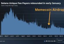 Solana stablecoin market doubles trump memecoins usdc dominance