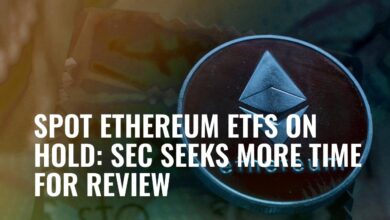 Sec again delays options on spot ether etfs