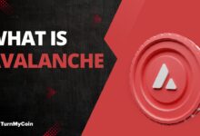 Avalanche kite ai blockchain institutional use
