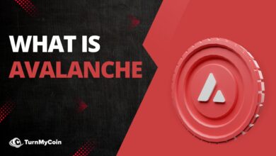 Avalanche kite ai blockchain institutional use