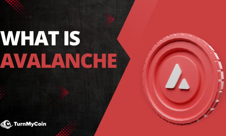 Avalanche kite ai blockchain institutional use