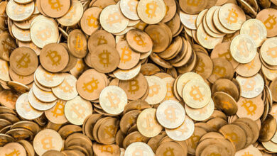 200 billion tiger21 has 6 billion worth crypto