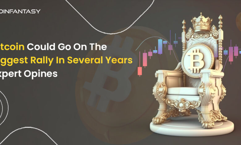 Bitcoin rally primed world brink chaos bitwise execs