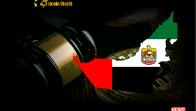 Dubai regulator vara memecoin warning