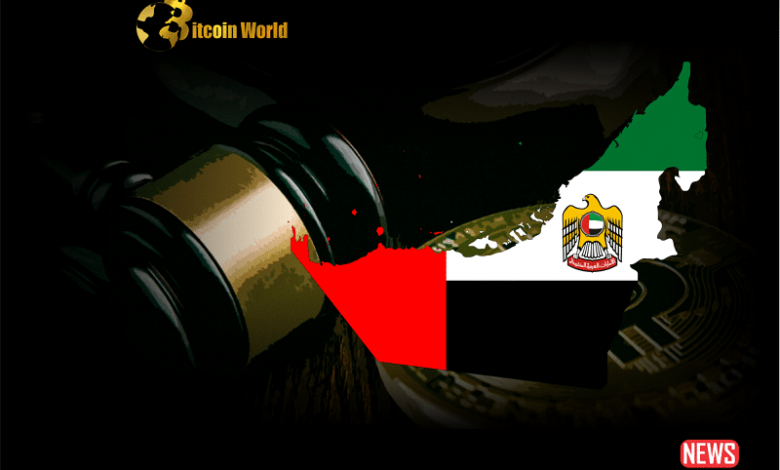 Dubai regulator vara memecoin warning