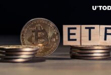Bitcoin retail etf outflows 494 m analysts eye market bottom