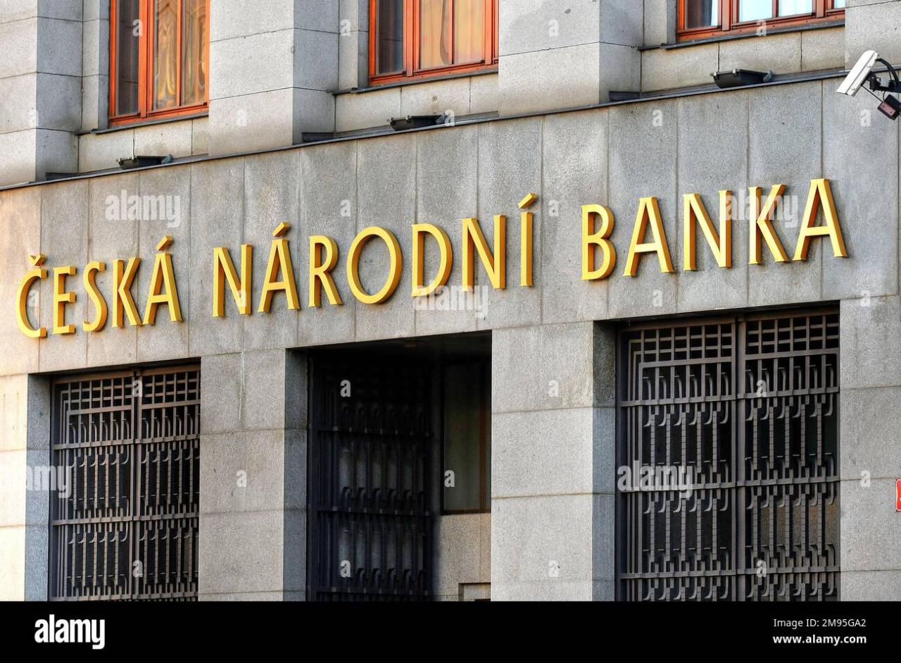 Czech national bank bitcoin study reserves