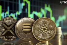 Price analysis 2 19 btc eth xrp sol bnb doge ada link xlm ltc