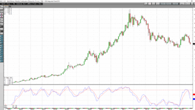 Bitcoin price carnage comes as gold hits new all time high
