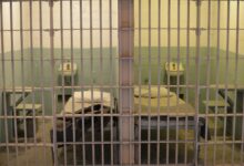 Ulbricht white collar criminals face slim sbf conviction relief