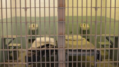 Ulbricht white collar criminals face slim sbf conviction relief