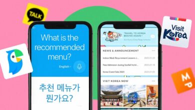 South korea blocks downloads deepseek app stores